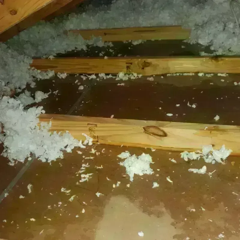 Attic Water Damage in Siler City, NC